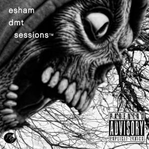 Album cover for DMT Sessions album cover