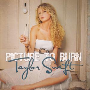 Album cover for Picture to Burn album cover