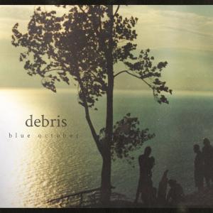 Album cover for Debris album cover