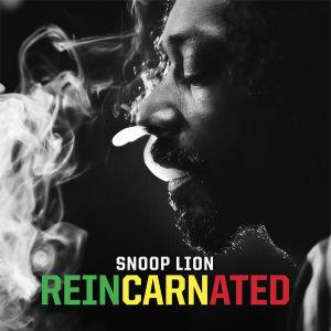 Album cover for Reincarnated album cover