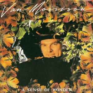 Album cover for A Sense of Wonder album cover