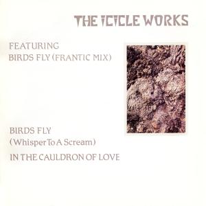 Album cover for Birds Fly (Whisper to a Scream) album cover