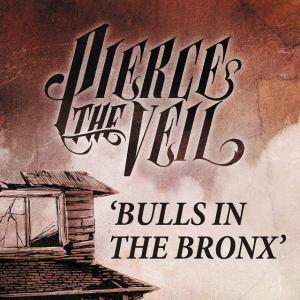 Album cover for Bulls in the Bronx album cover