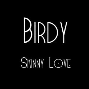 Album cover for Skinny Love album cover