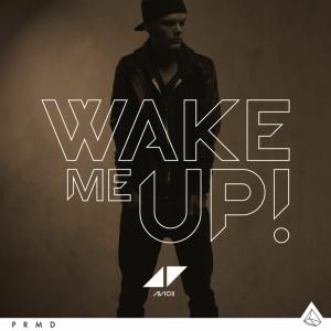 Album cover for Wake Me Up! album cover