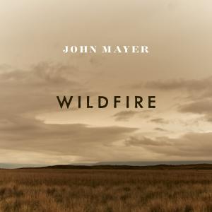 Album cover for Wildfire album cover