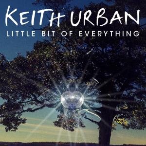 Album cover for Little Bit Of Everything album cover