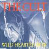 Wild Hearted Son