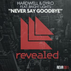 Album cover for Never Say Goodbye album cover