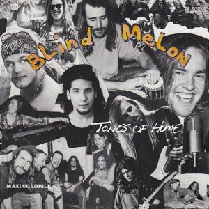 Album cover for Tones of Home album cover