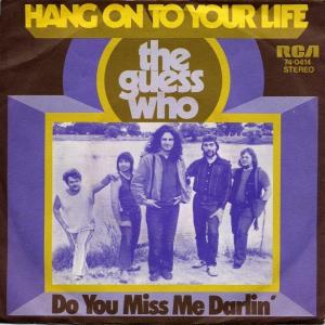 Album cover for Hang on to Your Life album cover