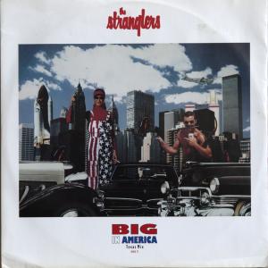 Album cover for Big in America album cover