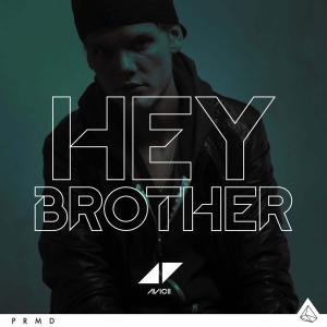 Album cover for Hey Brother album cover
