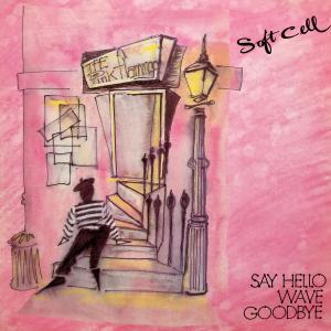 Album cover for Say Hello, Wave Goodbye album cover