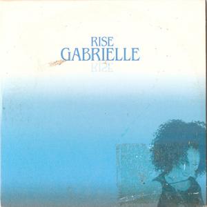 Album cover for Rise album cover