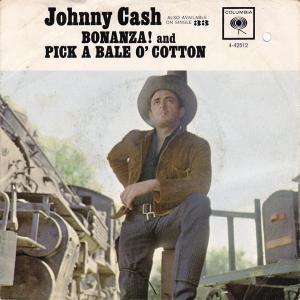 Album cover for Bonanza album cover