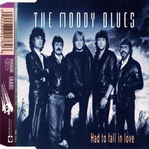 Album cover for Had to fall in Love album cover