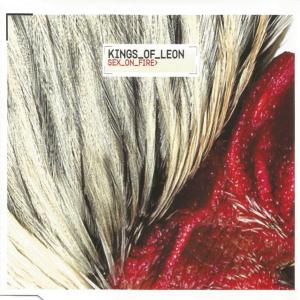 Album cover for Sex on Fire album cover