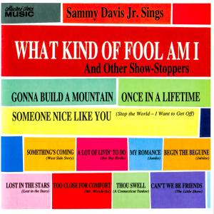 Album cover for What Kind of Fool Am I album cover