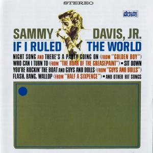 Album cover for If I Ruled the World album cover