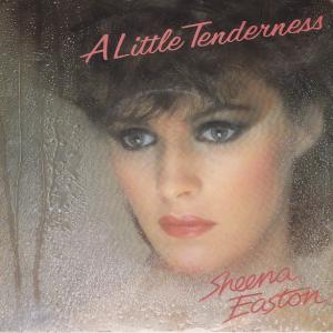 Album cover for A Little Tenderness album cover