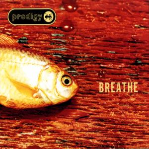 Album cover for Breathe album cover