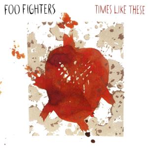 Album cover for Times Like These album cover