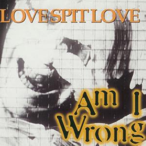 Album cover for Am I Wrong album cover