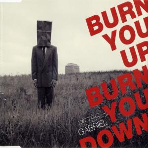 Album cover for Burn You Up, Burn You Down album cover