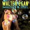 Album cover for Magnet and Steel album cover