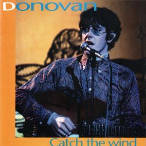 Album cover for Catch the Wind album cover