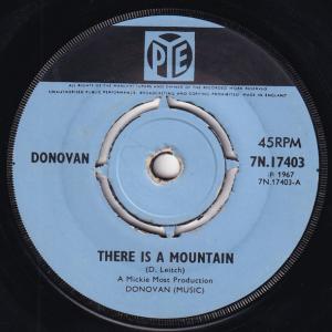 Album cover for There is a Mountain album cover