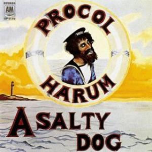 Album cover for A Salty Dog album cover