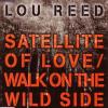 Satellite of Love