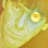 Hooky Wooky