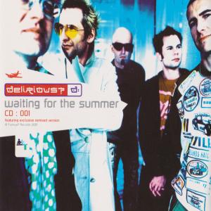 Album cover for Waiting for the Summer album cover