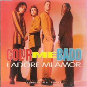 Album cover for I Adore Mi Amor album cover