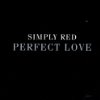 Album cover for Perfect Love album cover