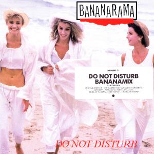 Album cover for Do Not Disturb album cover