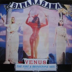 Album cover for Venus album cover