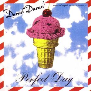 Album cover for Perfect Day album cover