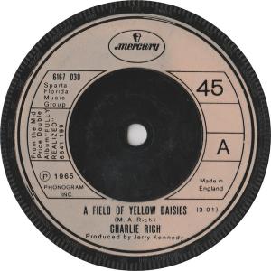 Album cover for A Field of Yellow Daisies album cover