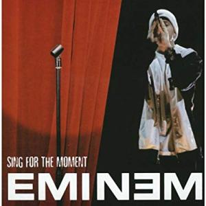Album cover for Sing For The Moment album cover