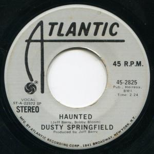 Album cover for Haunted album cover