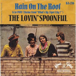 Album cover for Rain on the Roof album cover