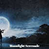 Album cover for Moonlight Serenade album cover