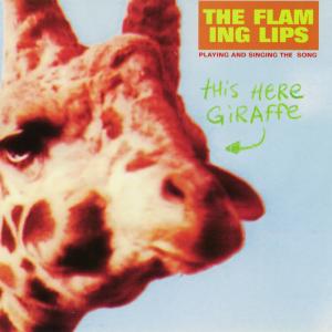Album cover for This Here Giraffe album cover