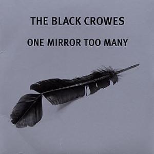 Album cover for One Mirror Too Many album cover