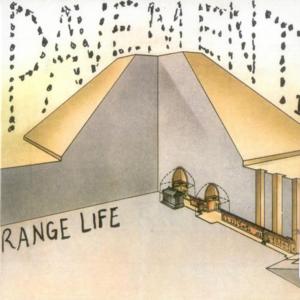 Album cover for Range Life album cover