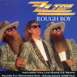 Album cover for Rough Boy album cover